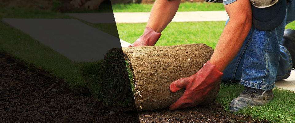 Reidsville Landscapers